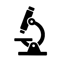 Lourdes Alice de Holanda Marinho